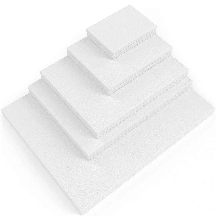 Paint Canvases for Painting Stretched Canvas 100% Cotton Primed Art Supplies for Acrylic Pouring and Oil Painting