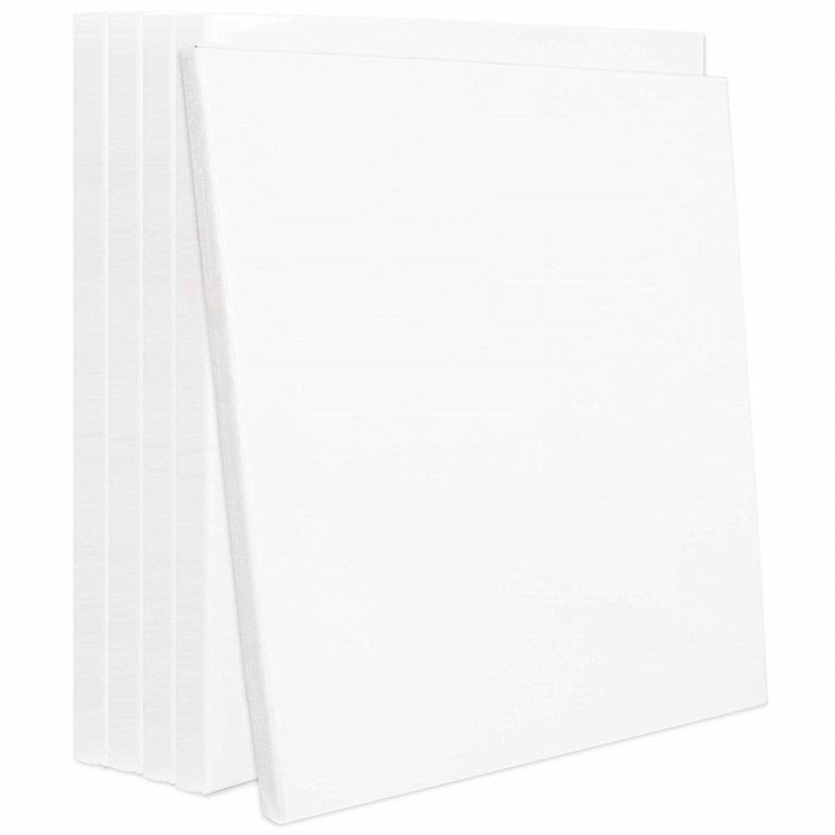 White Stretched Canvas Professional Artist Quality for Painting Set of 5 Pack (16x20inches)
