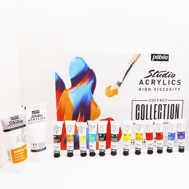 Completed Pebeo Acrylic Paint Kit Included Painting Brush Canvas Panel