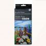 12 Vivid Colors Richly Pigmented Heavy Body Acrylic Paint Set for Beginners and Hobby Painters