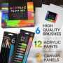 art set painting for beginners or professionalswith 6 Brushes and 3 Paint Canvases 12 non-toxic acrylic paint color