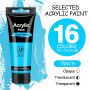 16 tube acrylic paint 75ml acrylic pigment with 10 brushes for professional art