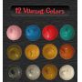 12 colours for painting metallic acrylic paint with 3 brushes for wood, canvas acrylic fabric paint