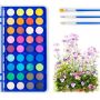 watercolor paint set 36 cake paint with 3 brushes watercolor kit for Adults and Kids