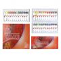 High quality 12 colors oil paint oil painting colors