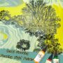 Factory new coral growing acrylic pouring paint fluid pouring acrylic paint set for fluid art acrylic painting colours