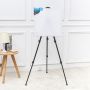 Factory Wholesale Extension Utility Art Tool Black Collapsible Iron Easel With Dark Canvas Package