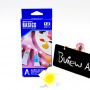 6 ML 12 Color Professional DIY Acrylic Paint Set With Hand Wall Painting Brush