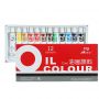 MASTERS Professional Artist Oil Paint Art Painting professional Artist Oil Color Paint Set12colors