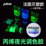 Pebeo 5 color 100ml phosphorescent acrylic fluorescent acrylic artistic paint color pigment for art painting