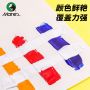 Marie's 21 colours 2L wholesale large bottle artist professional acrylic pigment colour interior wall graffiti paint