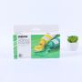 Art Rangers Acrylic Paint Set Water based Wholesale Acrylicr Colour Kit Colors Regular Acrylic Paint