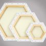 Factory Direct Sales Artist Hexagon Shape Stretched Canvas for Oil Painting