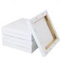White Blank Stretched Artist Canvas