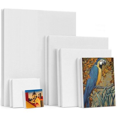White Blank Square Canvas Wooden Frame Canvas Artist Stretched