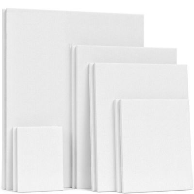 Paint Canvases for Painting Stretched Canvas 100% Cotton Primed Art Supplies for Acrylic Pouring and Oil Painting