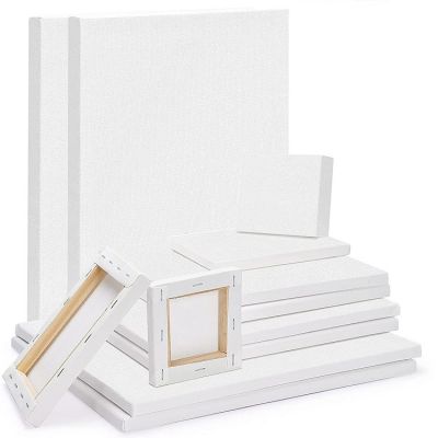 Stretched Canvas, Primed White Blank Canvas,Art Supplies for Acrylic Pouring and Oil Painting, 100% Cotton