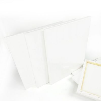 Bulk Pack blank canvas Primed,100% acid free Cotton , Acrylic ,Oil Paint ,Canvases for Professional Artist, Hobby Painter