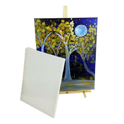 16x20Stretched White Blank Canvas,Primed, 100% Cotton for Painting, Acrylic Pouring, Oil Paint & Wet Art Media