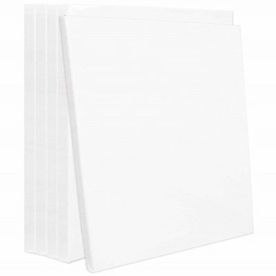 White Stretched Canvas Professional Artist Quality for Painting Set of 5 Pack (16x20inches)