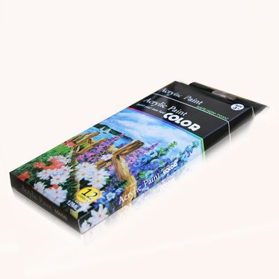 12 Vivid Colors Richly Pigmented Heavy Body Acrylic Paint Set for Beginners and Hobby Painters
