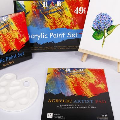 49 Pcs Acrylic Colour Paint Set Art Painting Set With Canvas Board ,Paintbrush,Palette For Artist and Kids