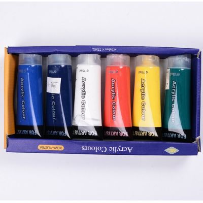 Professional Art Supplies Acrylic Colors Set Painting Wall Drawing Paint 75 Ml Non-Toxic Plastictube Acrylic Paint Art Set