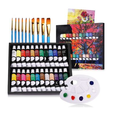 professional acrylic paint for artist paint acrylic for 24 colors with 10 brushes, 1 palette, 1canvas 12ml acrylic paint 24 tube
