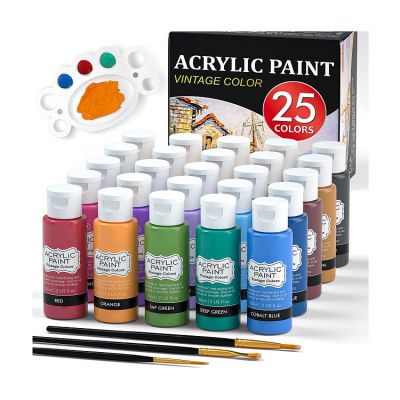 water based acrylic paint non toxic 25colors 60ml acrylic paint for Artists, Beginners and Kids