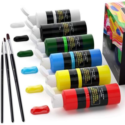acrylic paint on leather,canvas 6 non-toxic acrylic paint color for art 100ml acrylic paint set