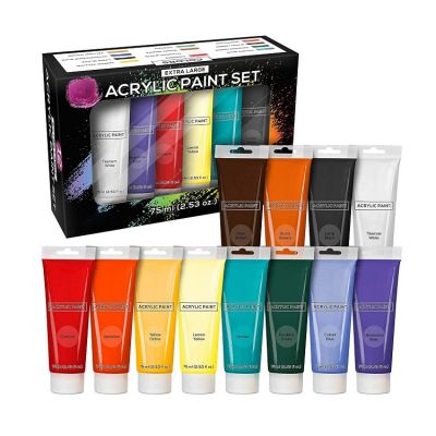 acrylic paint professional acrylic art paint 12colors non-toxic acrylic paint 75ml for artist