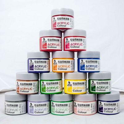 Customized Package Acrylic Paint 100 ml