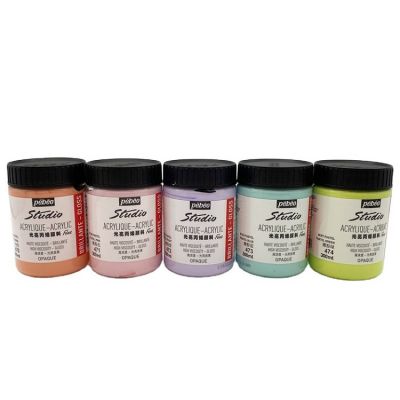 Manufacturer Wholesale 300ml Acrylic Gloss Hand Painted Pigment For Beginners
