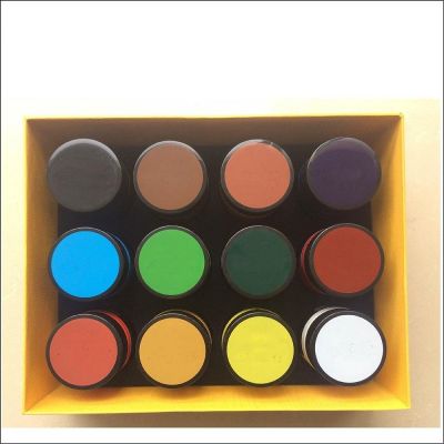 Non toxic 12 colors 100ml Acrylic Paint Jar Set