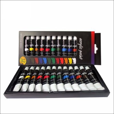 Non toxic High Quality Artist 12pcs 12ml Acrylic Paint Set