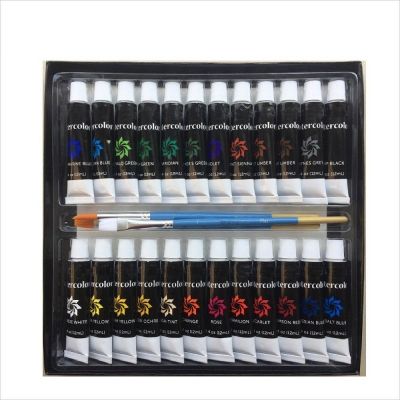 Non - toxic 12ml Artist Acrylic Paint 24 with 3 brushes
