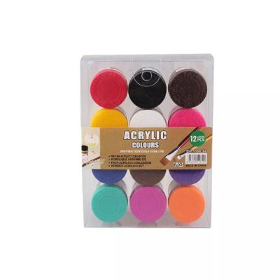 Professional grade 12 colors Non-toxic 25ML art Acrylic Paint Set