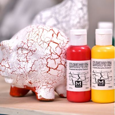 children fun paint Crackle acrylic paint set