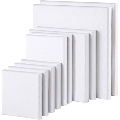 Artist Blank 10 Pieces Canvas Panels Assorted Size Art Multi stretched Canvas Boards for painting