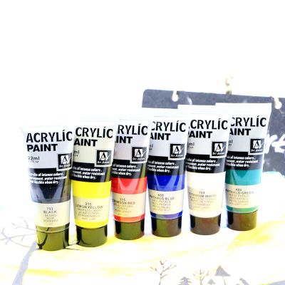Wholesale Permanent 22ML/0.75 oz 6 Colors Acrylic Paint For Artist Painting
