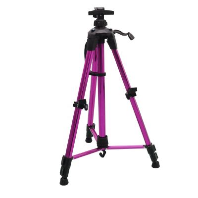 Ultra Thick Iron Display Plein Air Aluminum Easy to Carry and Set up Easel for Painting Stand