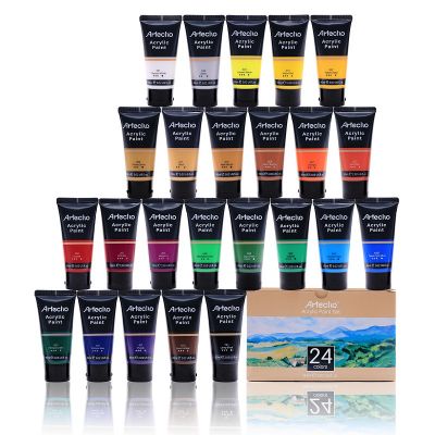 Acrylic Paint Set of 24 Colors, 60ml / 2.02oz Primary Acrylic Paint for Canvas Painting, Craft paint Supplies for Rock