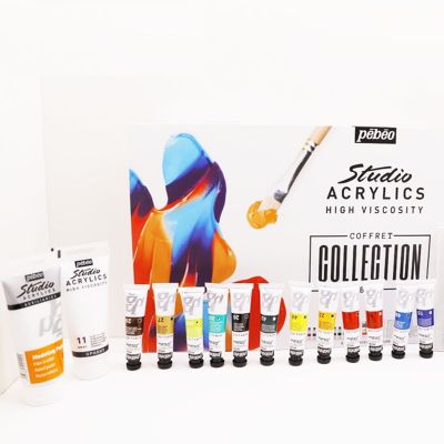 Completed Pebeo Acrylic Paint Kit Included Painting Brush Canvas Panel
