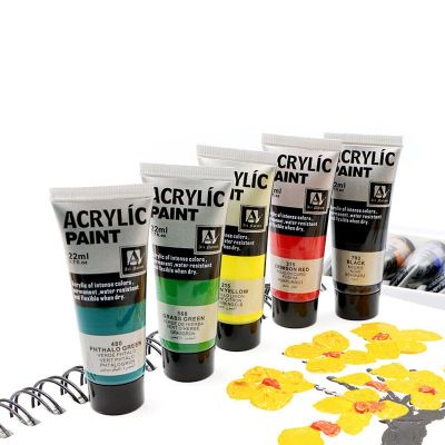 22 ML 6Color Professional DIY Acrylic Painting Color Set