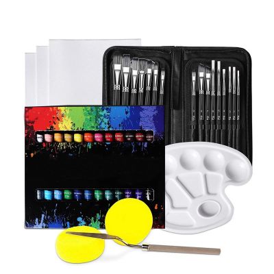Art Premium 24Colors Acrylic Paint Set Kit With 15PCS Paint Brushes Palette Sponge Canvas