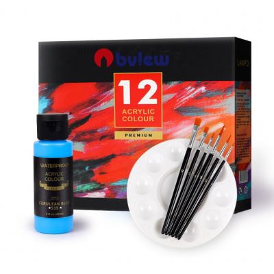 Rich Pigments, High Viscosity Premium Acrylic Paint Set 12 Assorted With Paint Brush,Plastic Palette For Artist