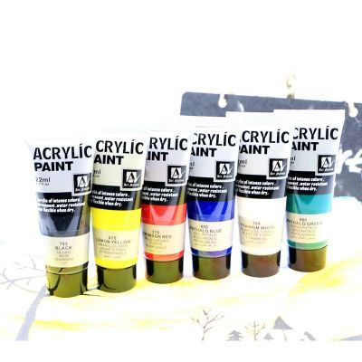 Wholesale Permanent 22ML/0.75 oz 6 Colors Acrylic Paint For Artist Painting