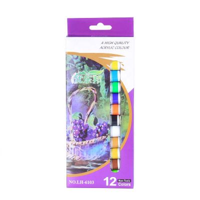 Wholesale 12colors 12ML High Quality Professional Acrylic Paint Color Set with PP Tubes for Kids & Adults Art Painting