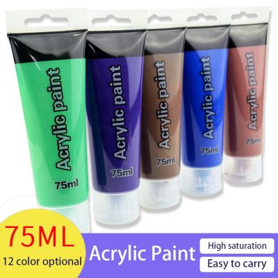 Professional 12 Colors Acrylic Paint in Extra-Large 75ml Tubes Rich Pigment Vivid Colors for Students Beginners Canvas Painting