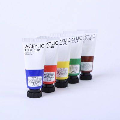 FIne Art Acrylic Paint 22ml Tube Non-washable Paint